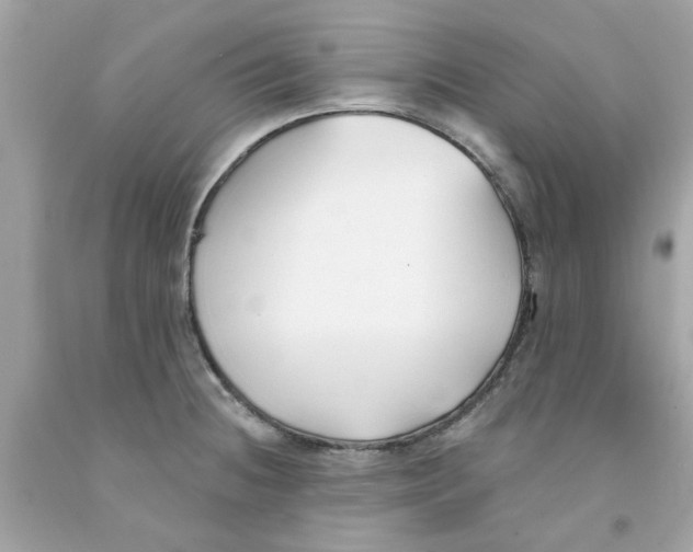 X0000091071236200709041213
