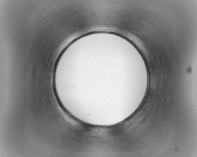 X0000091071237200709041213