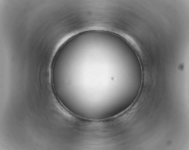 X0000091071238200709041213