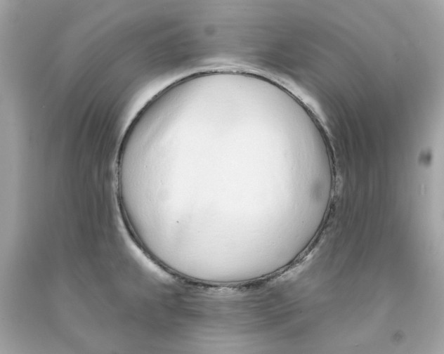 X0000091071239200709041213