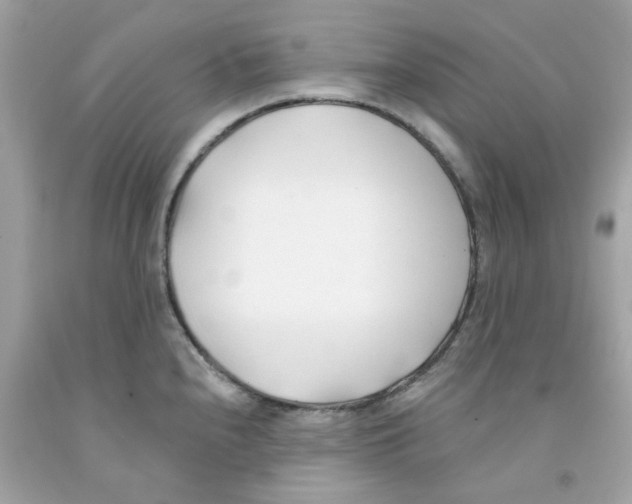 X0000091071240200709041213