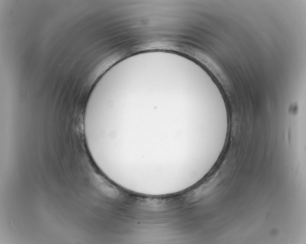 X0000091071241200709041213