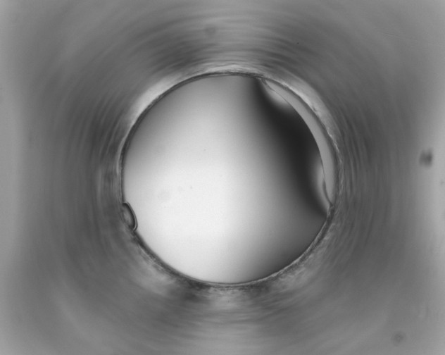X0000091071242200709041213