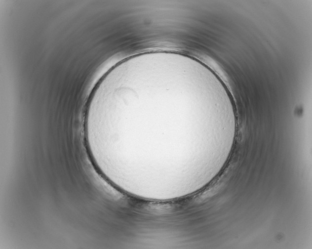 X0000091071243200709041213