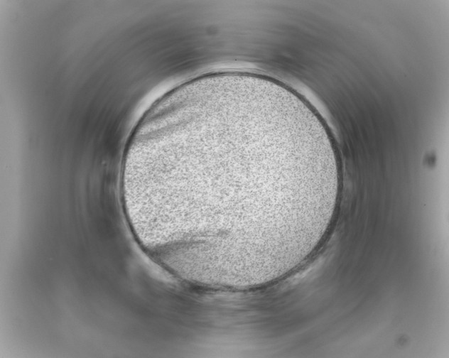 X0000091071245200709041213