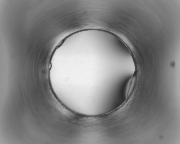 X0000091071246200709041213
