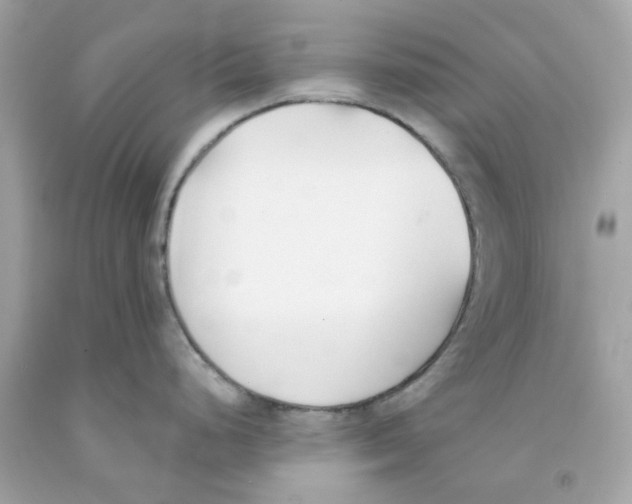 X0000091071248200709041213