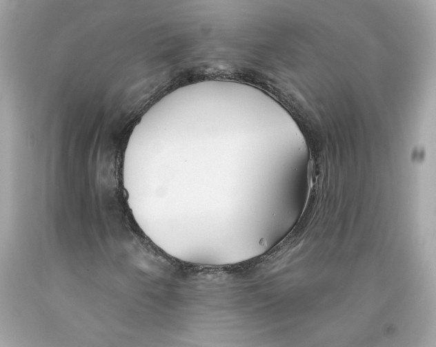 X0000091071250200709041212