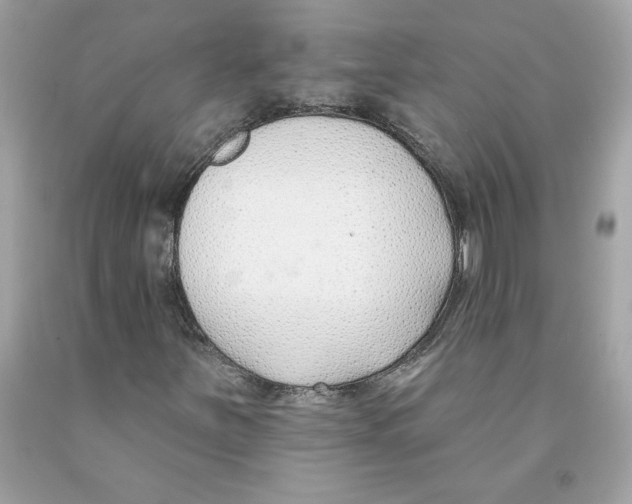 X0000091071251200709041212