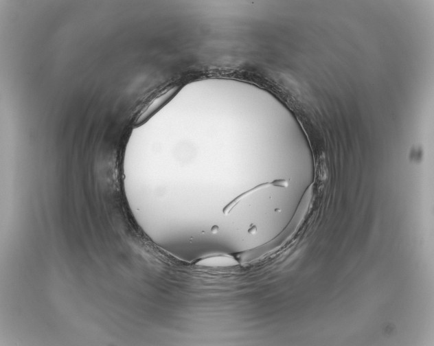 X0000091071252200709041212