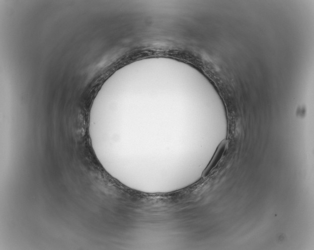 X0000091071253200709041212
