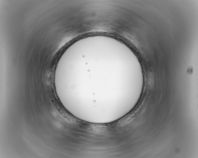 X0000091071258200709041212