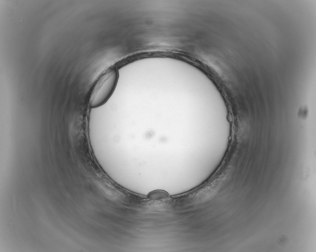 X0000091071259200709041212