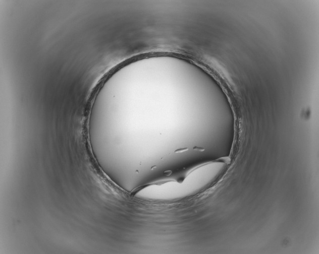 X0000091071260200709041212