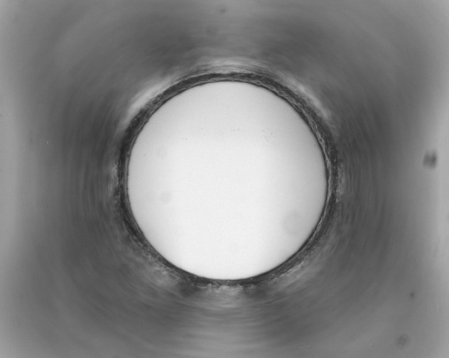X0000091071261200709041212