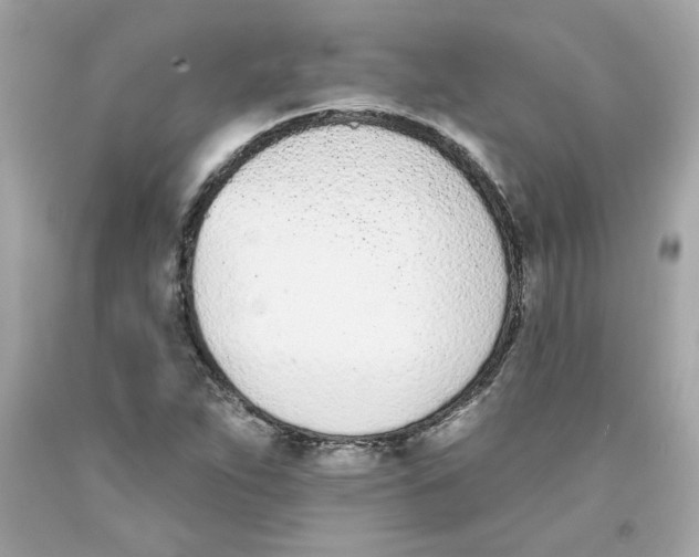 X0000091071263200709041212