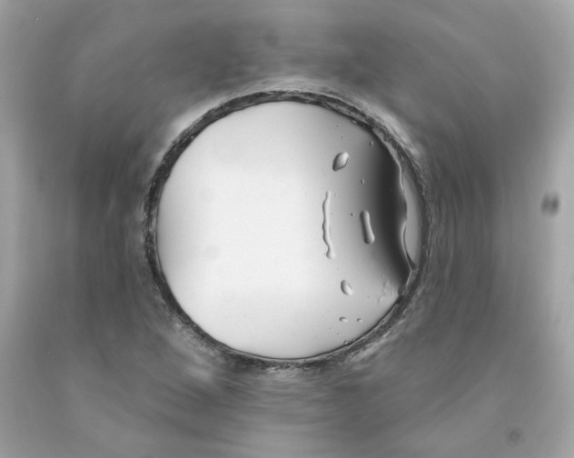X0000091071264200709041212