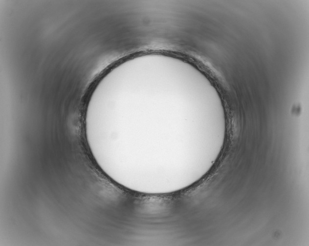 X0000091071266200709041212