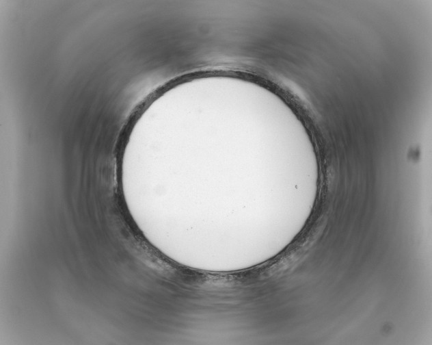 X0000091071267200709041212