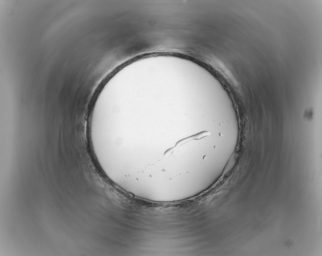 X0000091071268200709041212