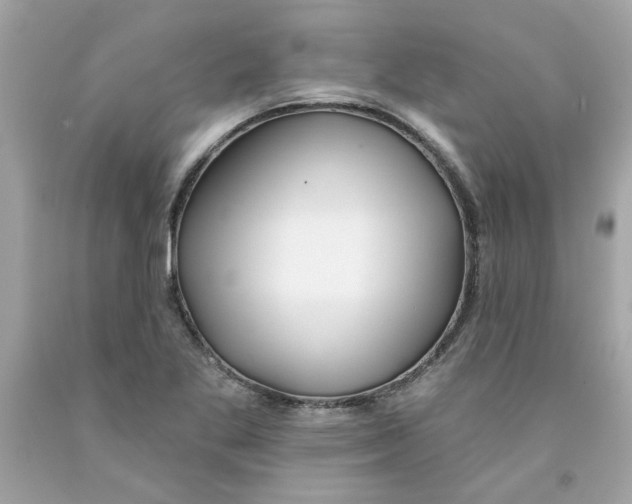 X0000091071269200709041212