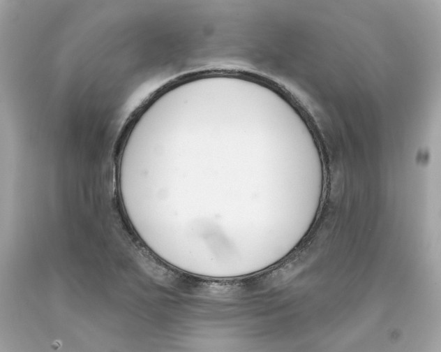 X0000091071271200709041212