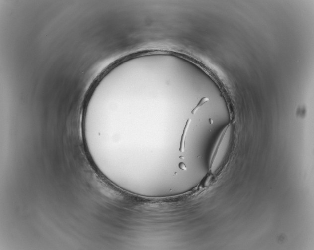 X0000091071272200709041212