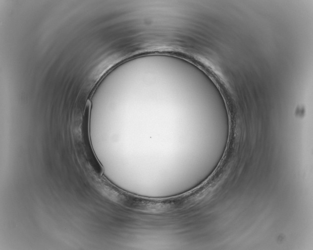X0000091071273200709041212