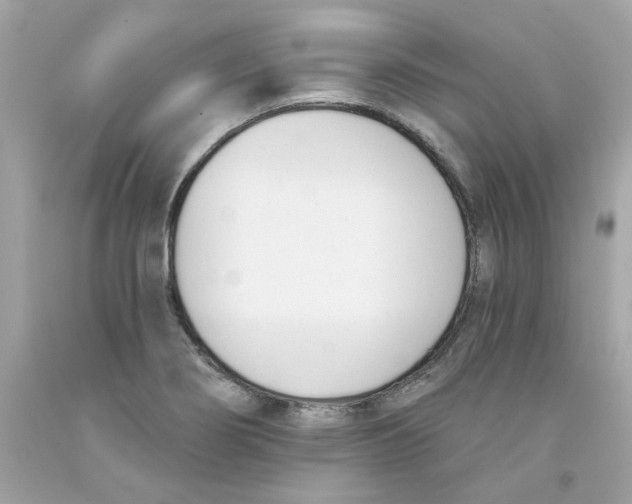 X0000091071274200709041212