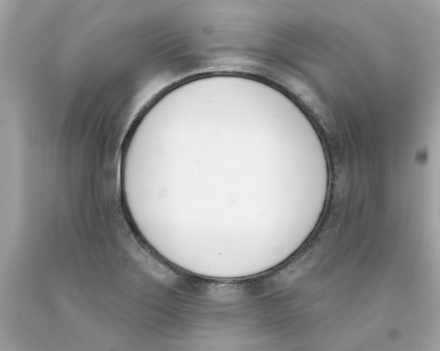 X0000091071275200709041212