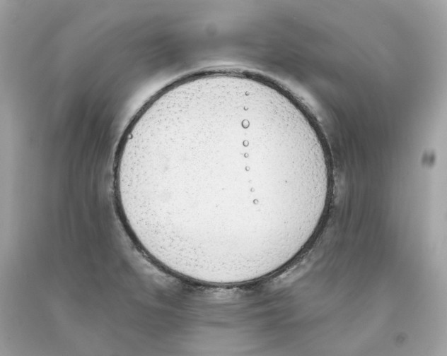 X0000091071279200709041212