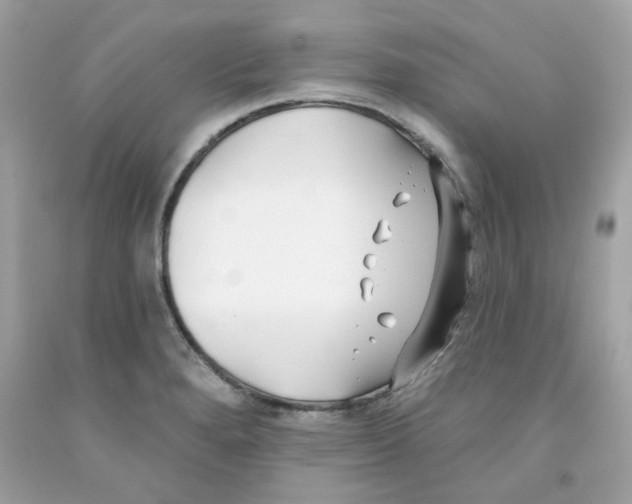 X0000091071280200709041212
