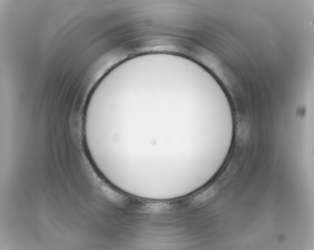 X0000091071282200709041212