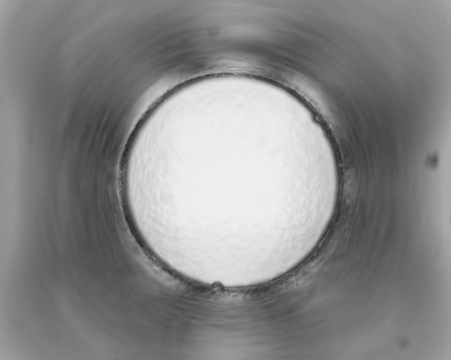 X0000091071283200709041212