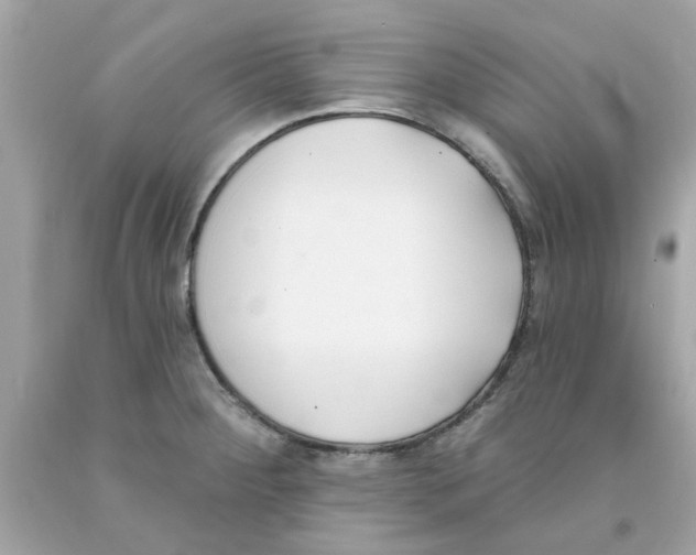 X0000091071284200709041212