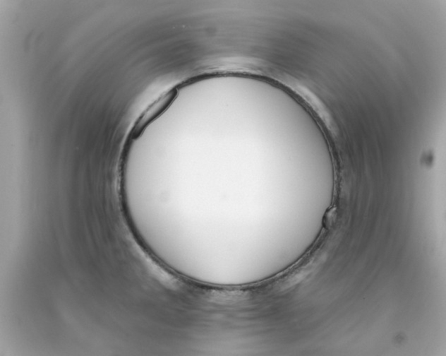 X0000091071285200709041212