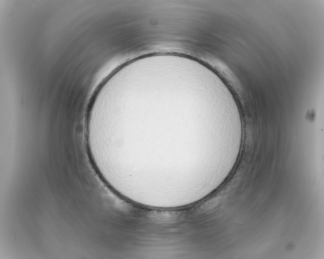 X0000091071286200709041212