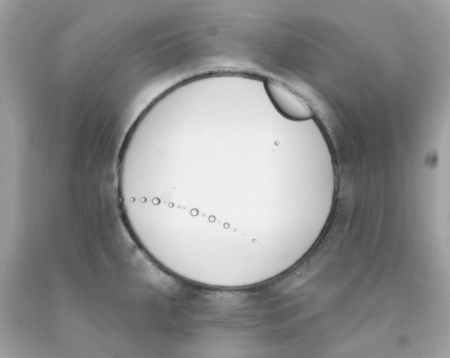 X0000091071287200709041212
