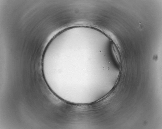 X0000091071288200709041212