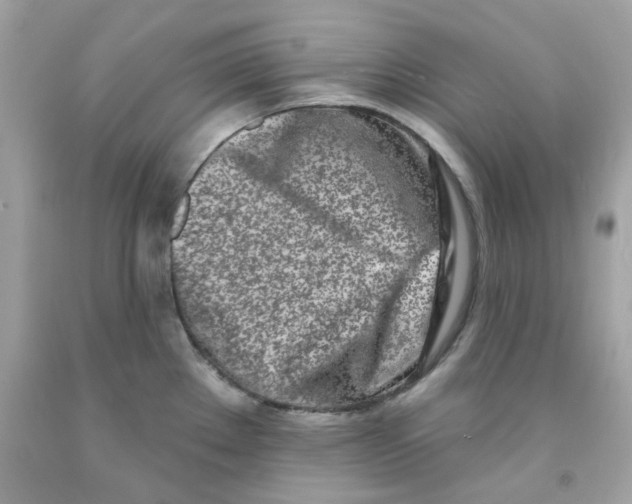 X0000091071289200709041212