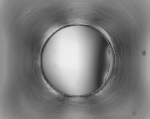 X0000091071293200709041212