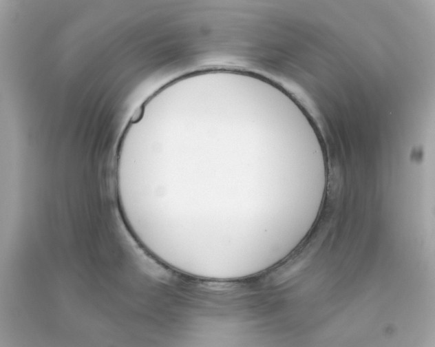 X0000091071295200709041212