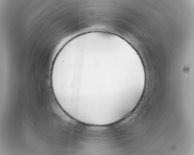 X0000091071296200709041212