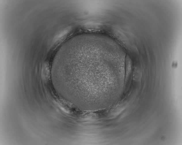 X0000091071298200709041211