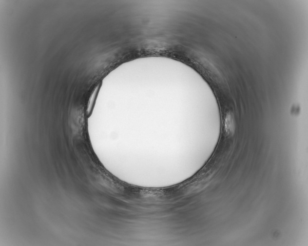 X0000091071299200709041211