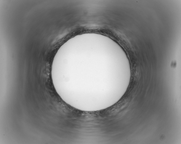 X0000091071301200709041211