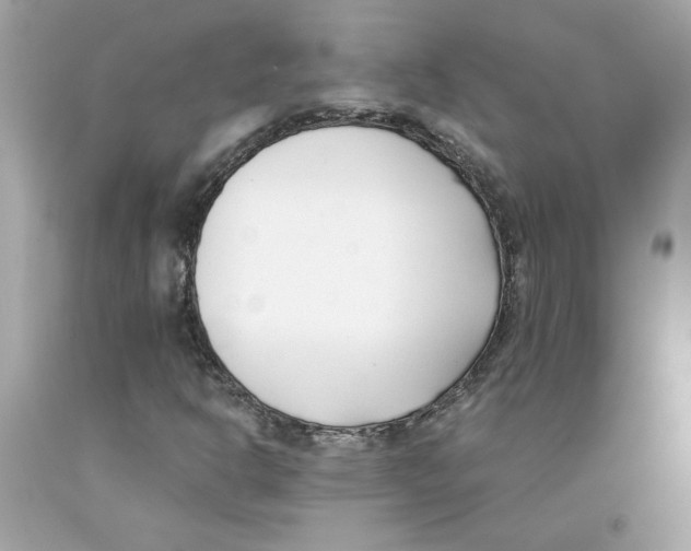 X0000091071302200709041211