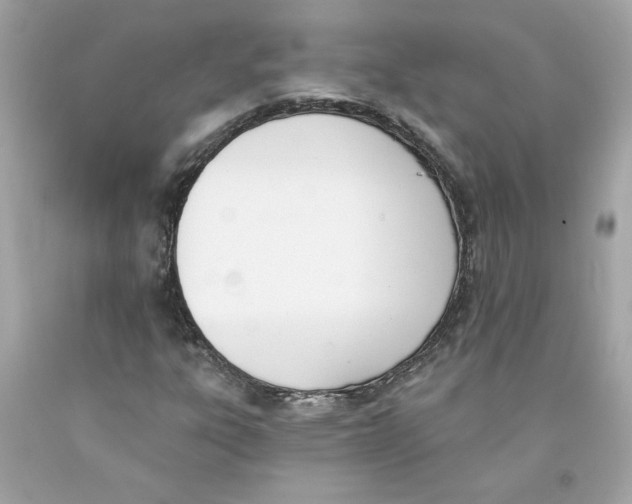 X0000091071303200709041211