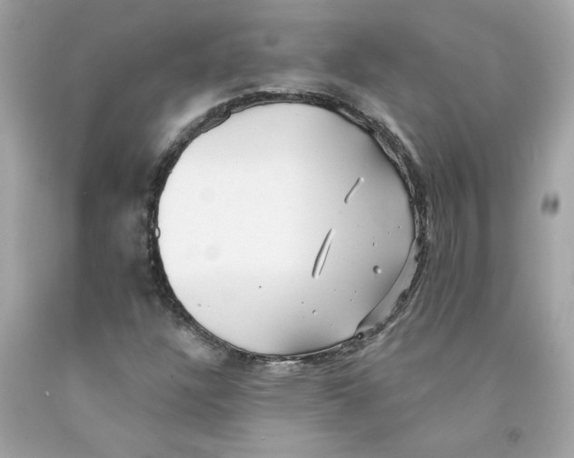 X0000091071304200709041211