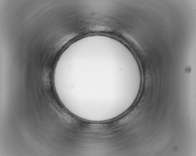 X0000091071305200709041211